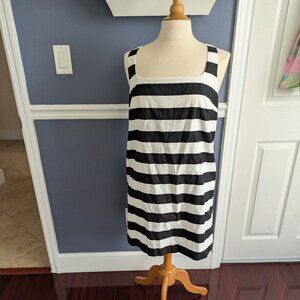 ANN TAYLOR